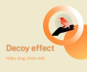 Hiệu ứng chim mồi